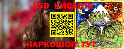 спиды Кингисепп