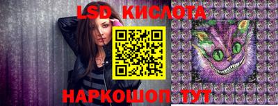 спиды Кингисепп