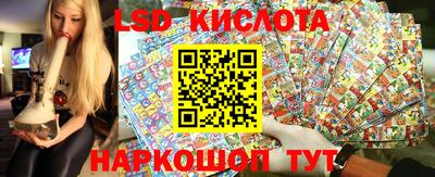 спиды Кингисепп