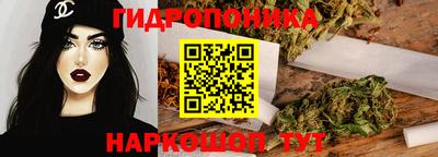 стаф Кинель