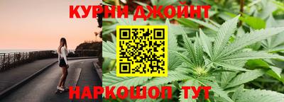 спиды Кингисепп