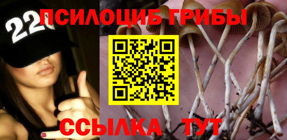 Галлюциногенные грибы MAGIC MUSHROOMS Комсомольск-на-Амуре